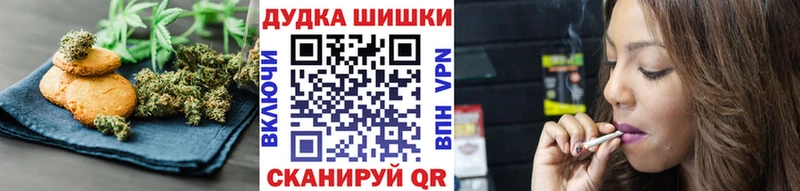 закладка  Новодвинск  Cannafood конопля 