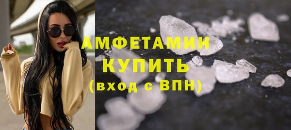 прущие грибы Бронницы