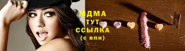 прущие грибы Бронницы