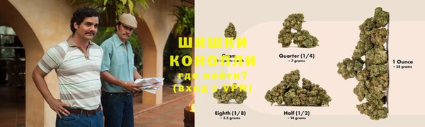 мдпв Бугульма