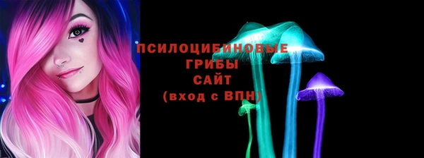 прущие грибы Бронницы
