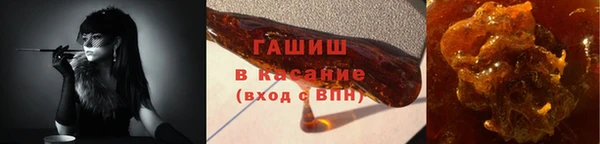 прущие грибы Бронницы