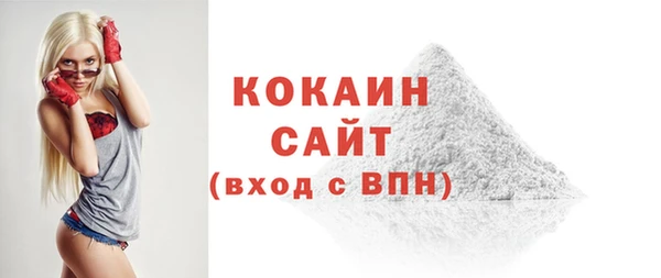 прущие грибы Бронницы