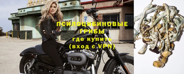 мдпв Бугульма