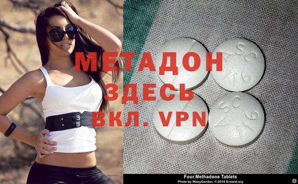 прущие грибы Бронницы