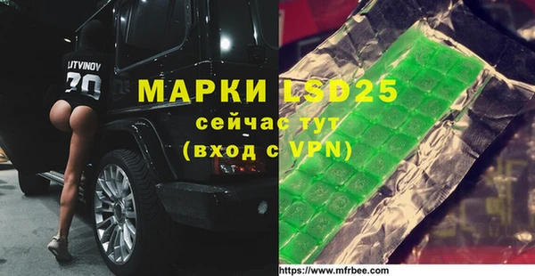 прущие грибы Бронницы
