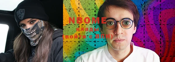 прущие грибы Бронницы