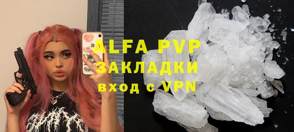 прущие грибы Бронницы