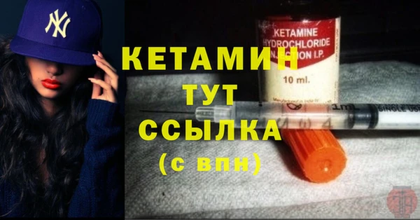 прущие грибы Бронницы