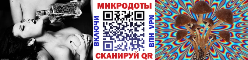 Псилоцибиновые грибы прущие грибы  блэк спрут маркетплейс  Новодвинск 